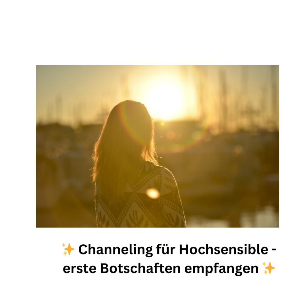 eine Frau sieht man von hinten, sie schaut in die untergehene Sonne